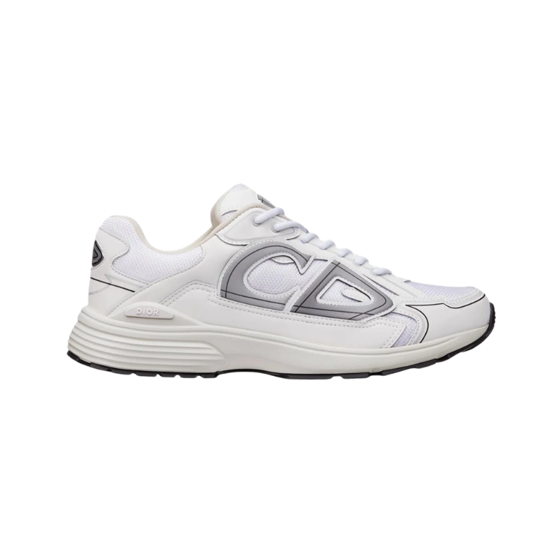 Dior B30 White and Grey