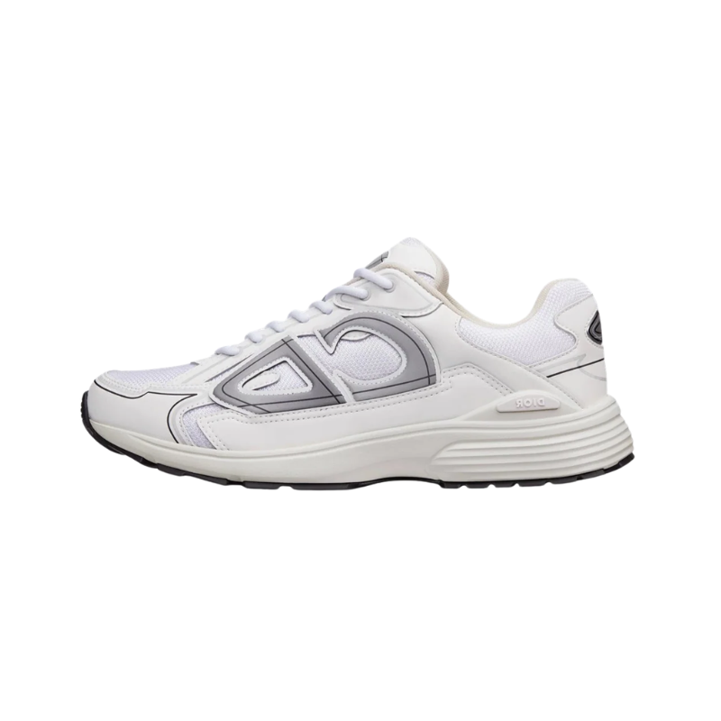 Dior B30 White and Grey