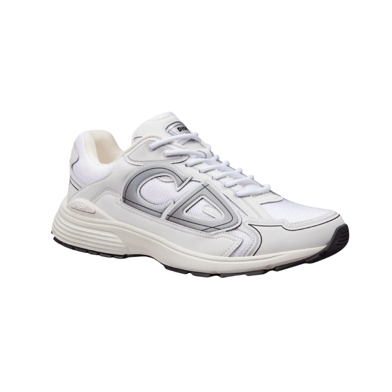 Dior B30 White and Grey