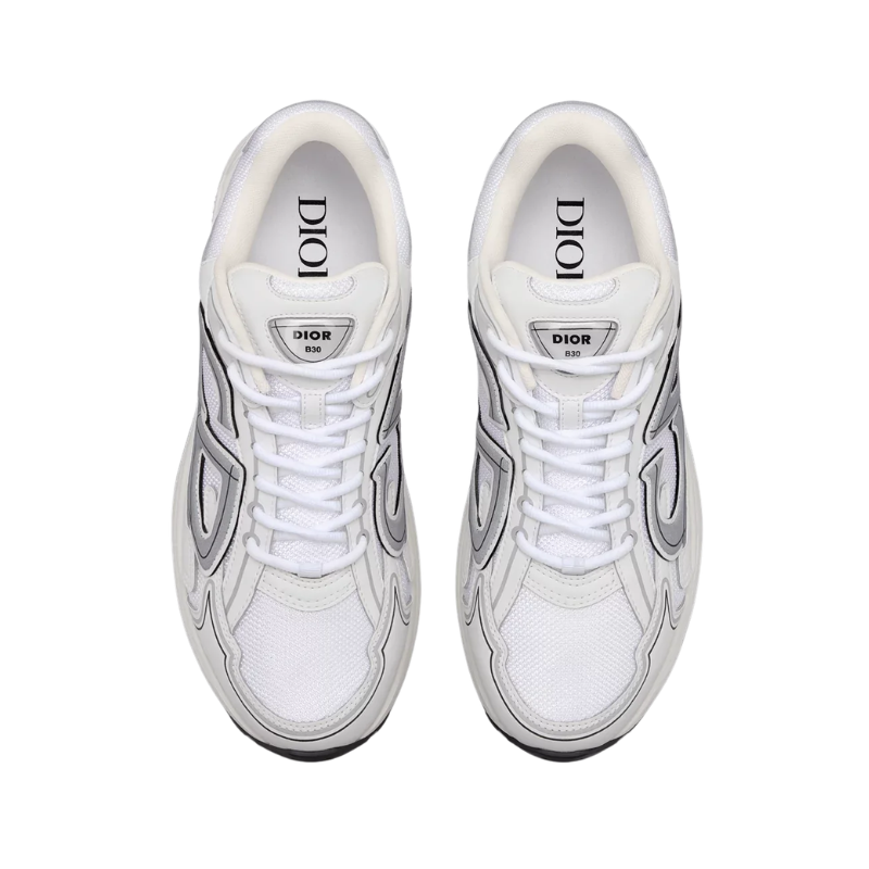 Dior B30 White and Grey