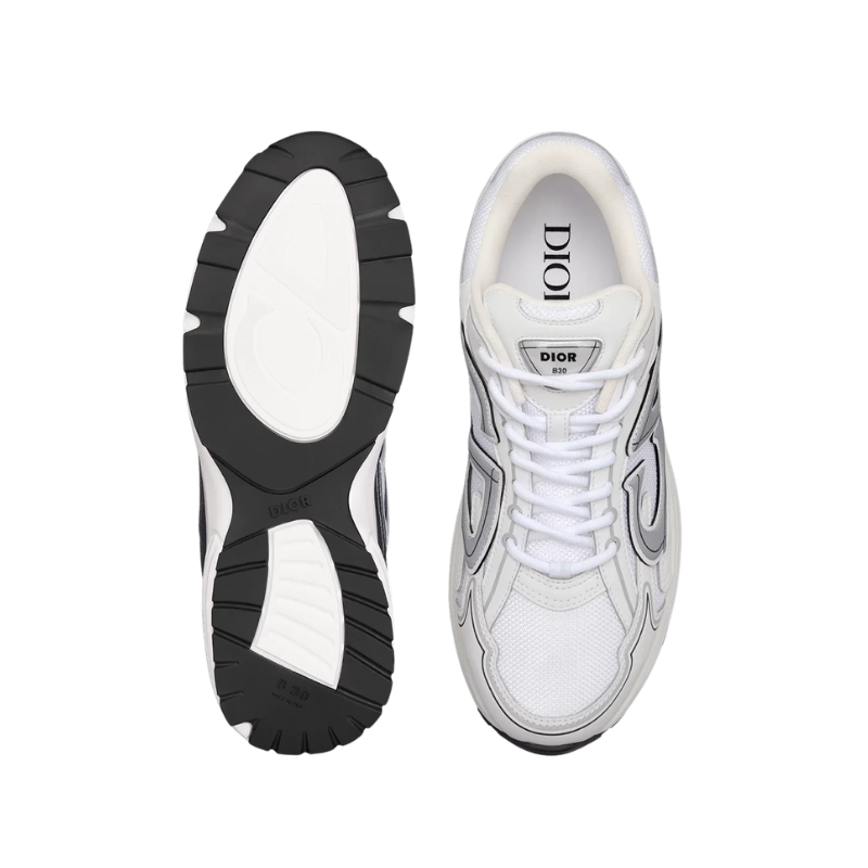 Dior B30 White and Grey